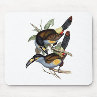 Mousepad montanha Placa-faturada Toucan
