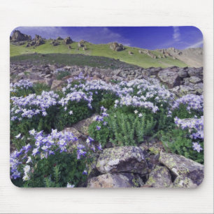 Mousepad Montanhas e flores silvestres em prado alpino,