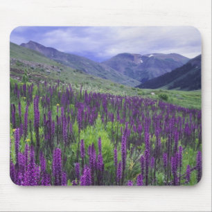 Mousepad Montanhas e flores silvestres em prado alpino, 2