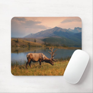 Mousepad Montanhas Jacques Mountain Range Alberta Canadá