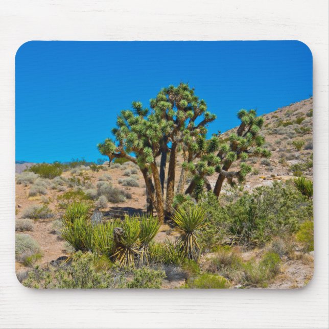 Mousepad Monumento Nacional Dourado Butte (Frente)