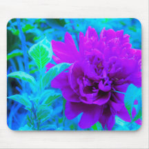 Moody Purple Peony com Linda Folhagem Weigela