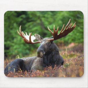 Mousepad Mooose!