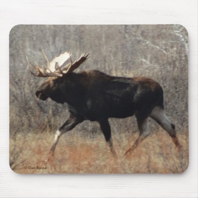 Mousepad Moose Bull M10 (Frente)