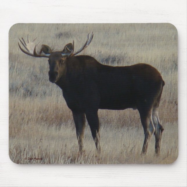 Mousepad Moose Bull M4 (Frente)