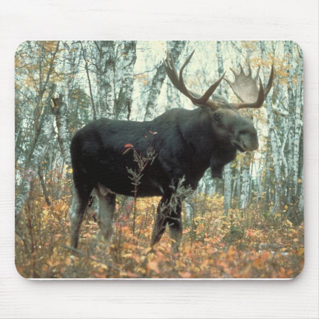 Mousepad Moose Forest Trees Park Animal Willife Art (Frente)