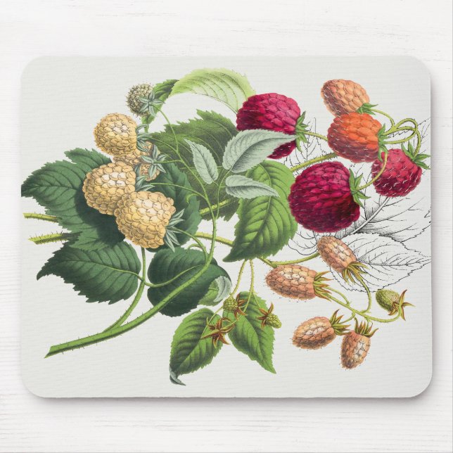 Mousepad Morango de vinagre (Frente)