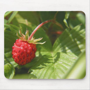 Mousepad Morango silvestre