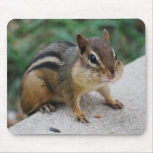 Mousepad Mordentes do Chipmunk