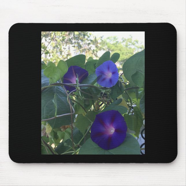 Mousepad Morning Glory Kaleidoscope (Frente)