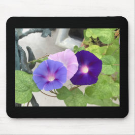 Mousepad Morning Glory Trio