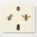 Mousepad Moscas e besouros pelo Vision Studio<br><div class="desc">Este impressão do Vision Studio pode ser apenas para amantes de insetos! Moscas e besouros se reúnem sobre fundo creme,  enquadrados por uma borda negra. Se você gosta de entomologia,  ou conhece alguém que é,  esta é uma peça excelente!</div>