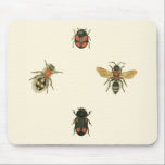 Mousepad Moscas e besouros pelo Vision Studio<br><div class="desc">Este impressão do Vision Studio pode ser apenas para amantes de insetos! Moscas e besouros se reúnem sobre fundo creme,  enquadrados por uma borda negra. Se você gosta de entomologia,  ou conhece alguém que é,  esta é uma peça excelente!</div>