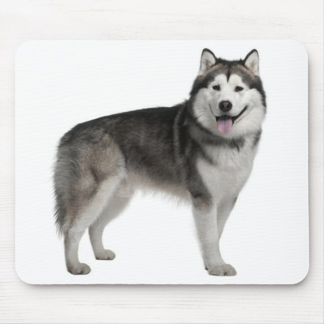 Mousepad Mossepad Malamute (Frente)