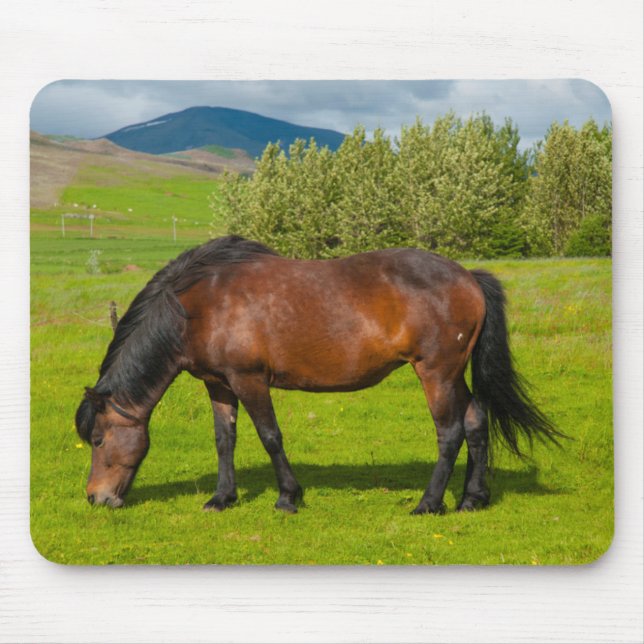 Mousepad Mossfellsbaer Cavalo Islandês (Frente)