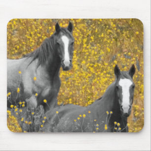 Mousepad Mostarda e cavalos