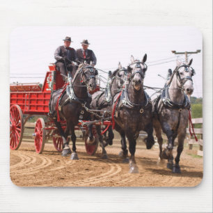 Mousepad mostra do cavalo de esboço de ohio do hillsboro