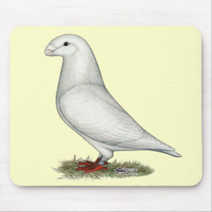 Mousepad Mostrar Branco Racista