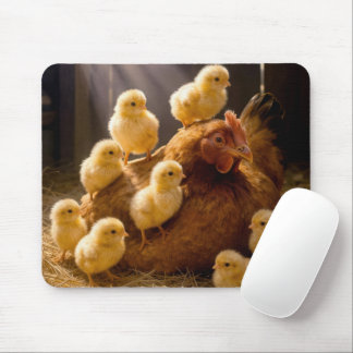 Mousepad Mother Hen with Baby Chicks in Barn
