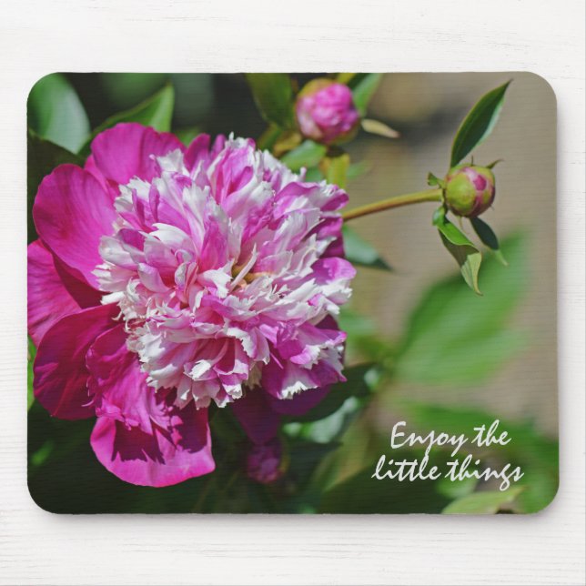 Mousepad Motivação da Flor de Algodão Rosa (Frente)