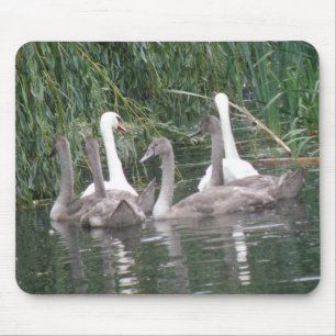 Mousepad Motoveleiras e ciganas