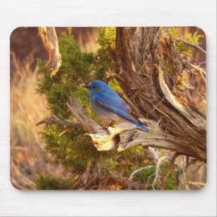 Mousepad Mountain Bluebird no Parque Nacional de Arches