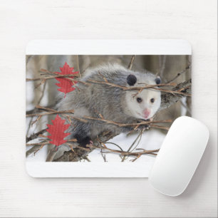 Mousepad Mouse Branco da Natureza de Ogambm!