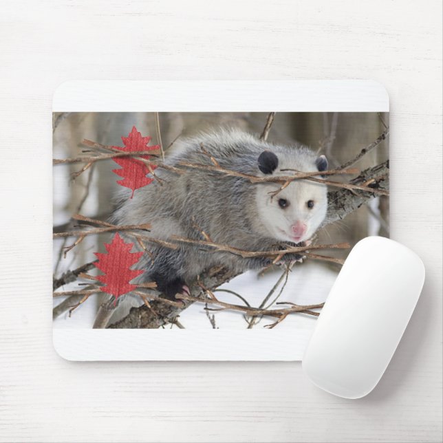 Mousepad Mouse Branco da Natureza de Ogambm! (Com mouse)