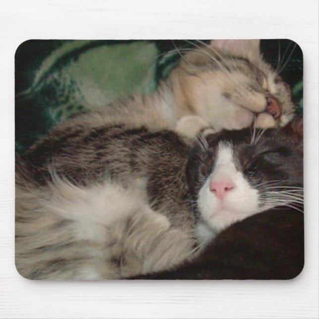 Mousepad Mouse Cats 3 (Frente)