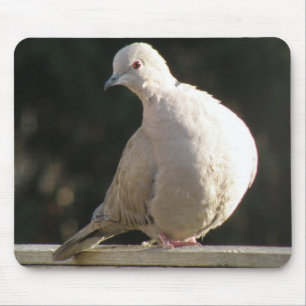 Mousepad Mouse da Porta Colada