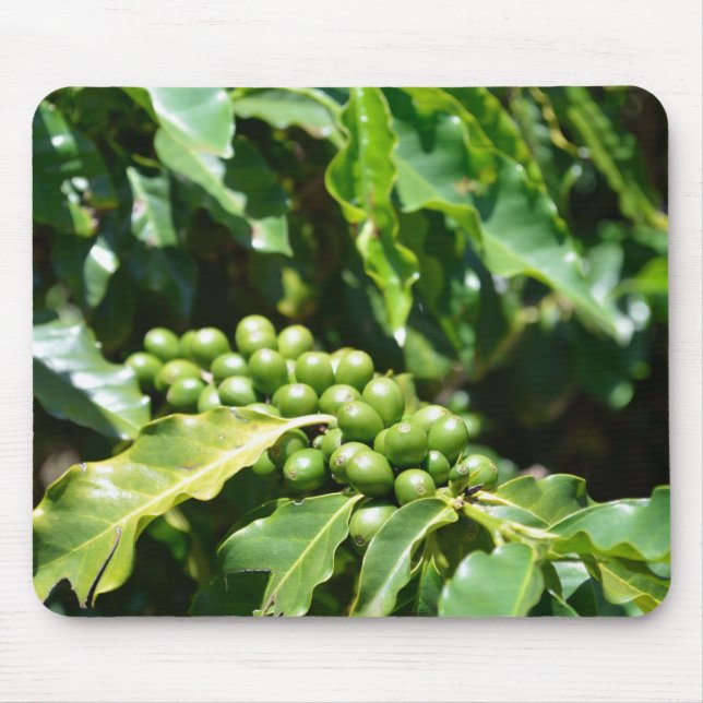 Mousepad Mouse de Berries de Café Verde (Frente)