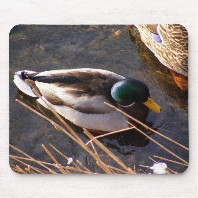 Mousepad Mouse de madeira (Frente)