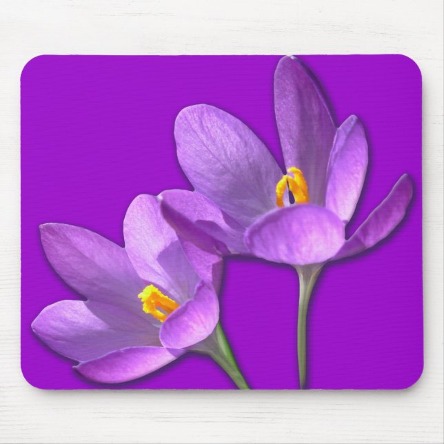 Mousepad Mouse Flor Crocus Roxo / Presentes Azuis (Frente)