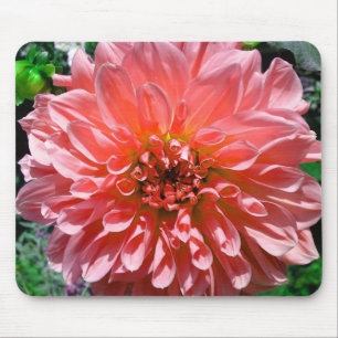 Mousepad Mouse Flor Vermelho Laranja Dhalia