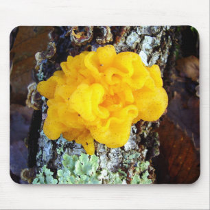 Mousepad Mouse Fungi Tremella Mesenterica