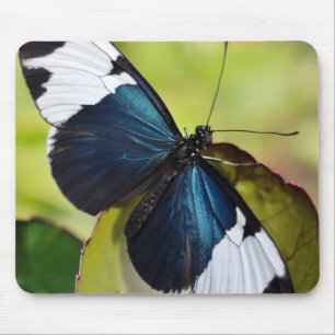 Mousepad Mouse Pad/Borboleta Azul