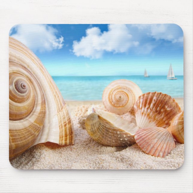 Mousepad Mouse pad/conchas marítimas (Frente)