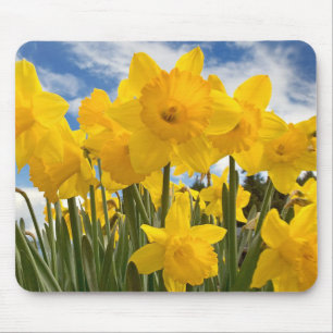 Mousepad Mouse Pad-Daffodils
