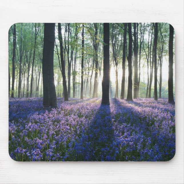 Mousepad Mouse Pad-Forest (Frente)