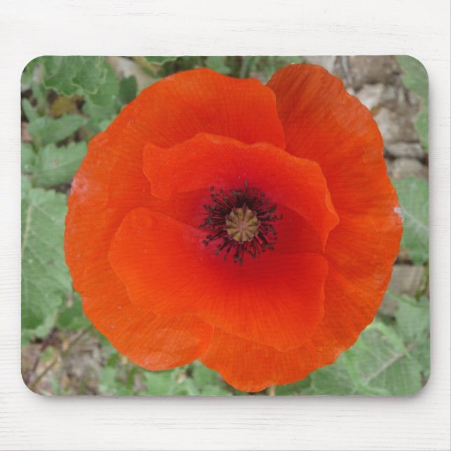 Mousepad Mouse Pad. Poppy (Amapola) (Frente)