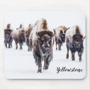 Mousepad Mouse Pad-Yellowstone Buffalo