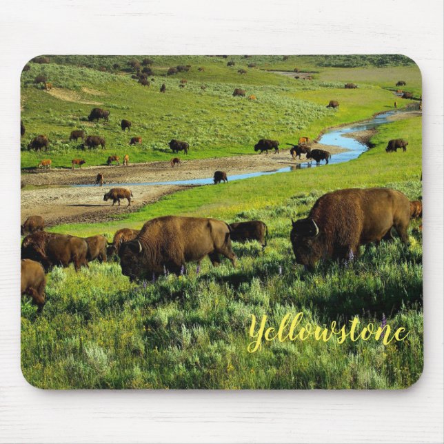 Mousepad Mouse Pad-Yellowstone Buffalo (Frente)