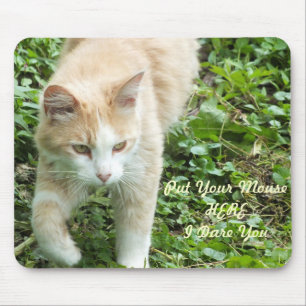 Mousepad Mouse Selva do Sahara