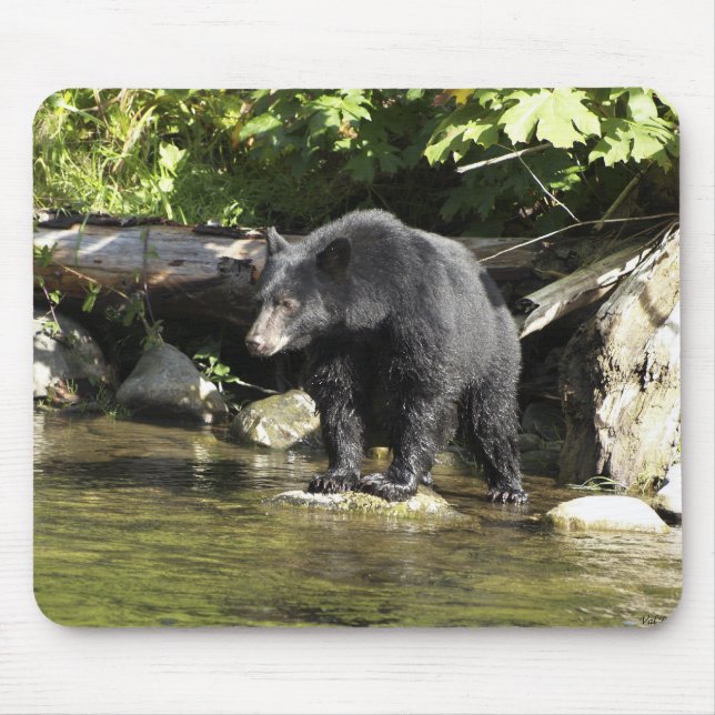 Mousepad Mouse "Spotting Salmon" (Frente)
