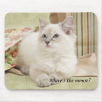 mousemat do gatinho