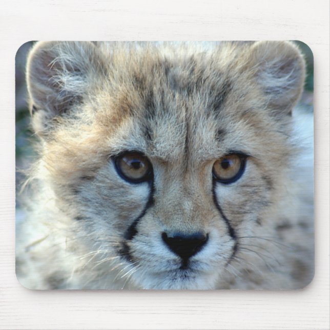 Mousepad Mousepad-cheetah-cub10x10 (Frente)