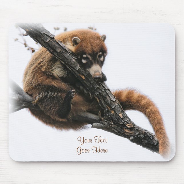 Mousepad Mousepad: Coatimundi #5 (Frente)