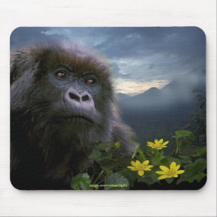 Mousepad Mousepad, defensor da vida selvagem de Gorilla