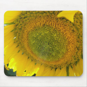 Mousepad Mousepad: Flor de girassol