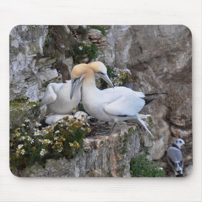 Mousepad Mousepad: Gannets e flores (Frente)